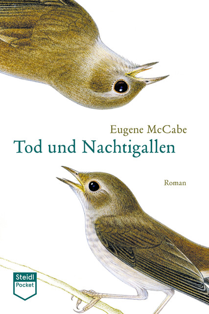Tod und Nachtigallen (Steidl Pocket), Eugene McCabe