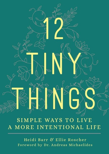 12 Tiny Things, Heidi Barr