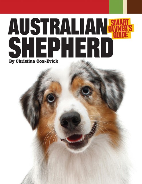 Australian Shepherd Dog, Christina Cox-Evick