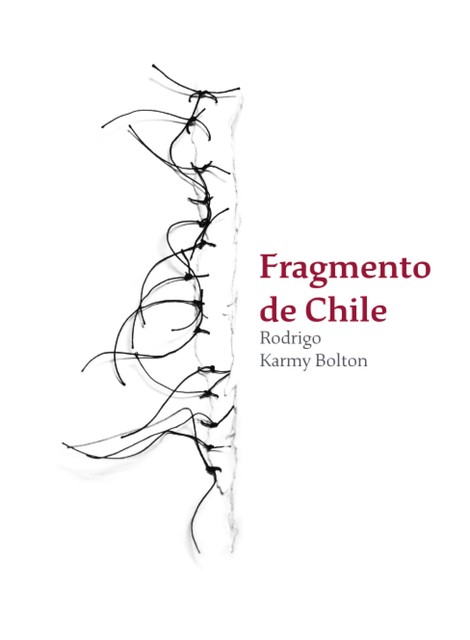 Fragmento de Chile, Rodrigo Karmy Bolton