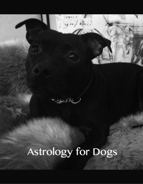 Astrology for Dogs, Aeriel