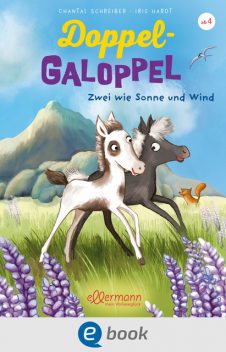 Doppel-Galoppel 1. Zwei wie Sonne und Wind, Chantal Schreiber