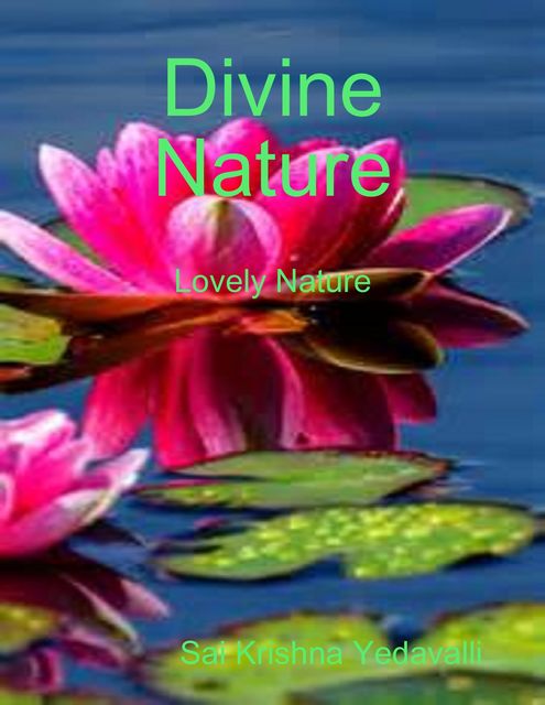 Divine Nature, Sai Krishna Yedavalli