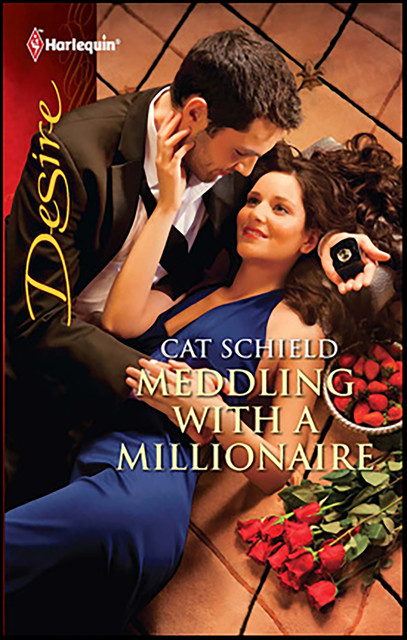 Meddling with a Millionaire, Cat Schield