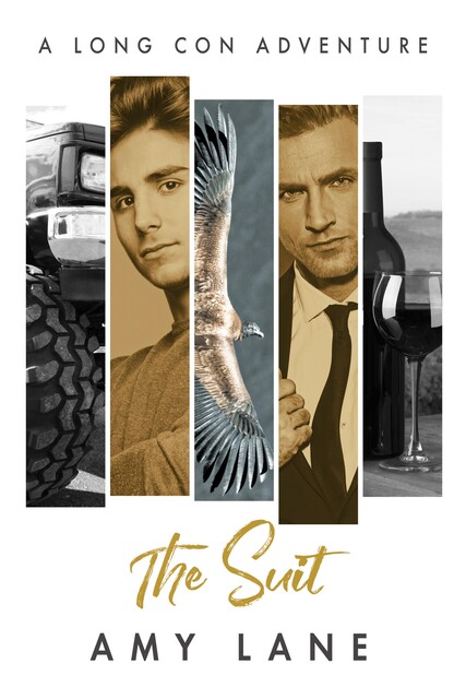 The Suit, Amy Lane