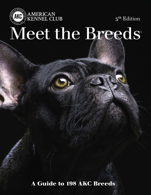 Meet the Breeds, American Kennel Club