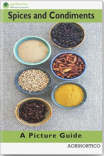 Spices and Condiments, Agrihortico CPL