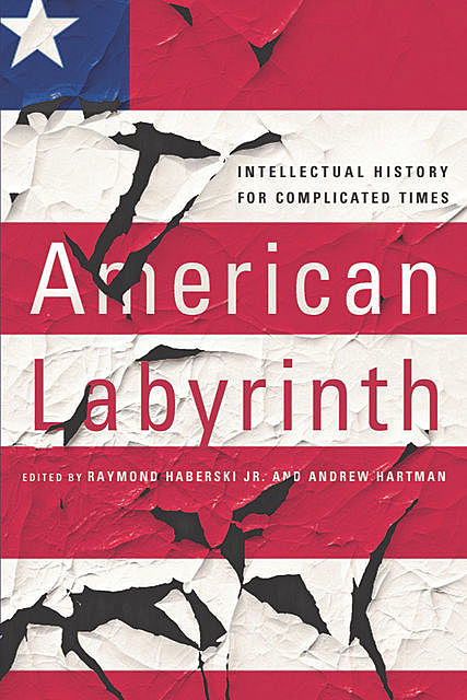 American Labyrinth, Andrew Hartman, Raymond Haberski