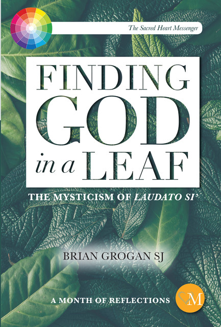 Finding God in a Leaf, Brian Grogan
