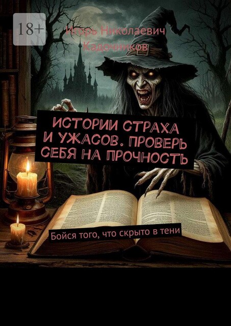 Истории страха и ужасов. Проверь себя на прочность. Бойся того, что скрыто в тени, Игорь Кадочников