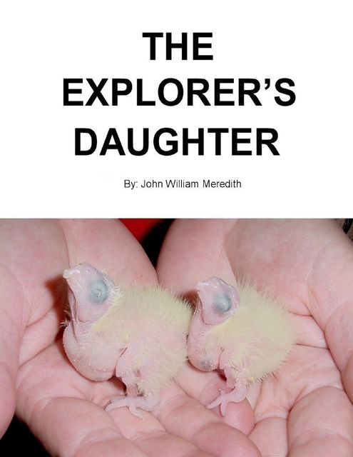 The Explorer's Daughter, John William Meredith
