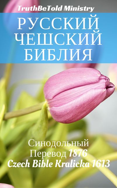 Русский Чешский Библия, Joern Andre Halseth
