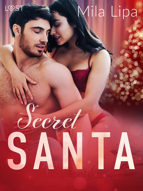 Secret Santa – Erotic Christmas Story, Mila Lipa