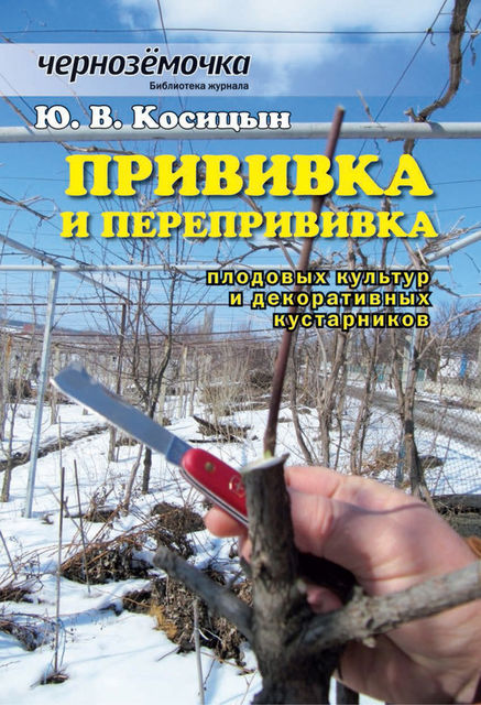 Прививка и перепрививка плодовых культур и декоративных кустарников, Ю.В. Косицын