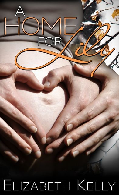 A Home for Lily, Elizabeth Kelly