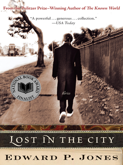 Lost in the City, Edward P.Jones