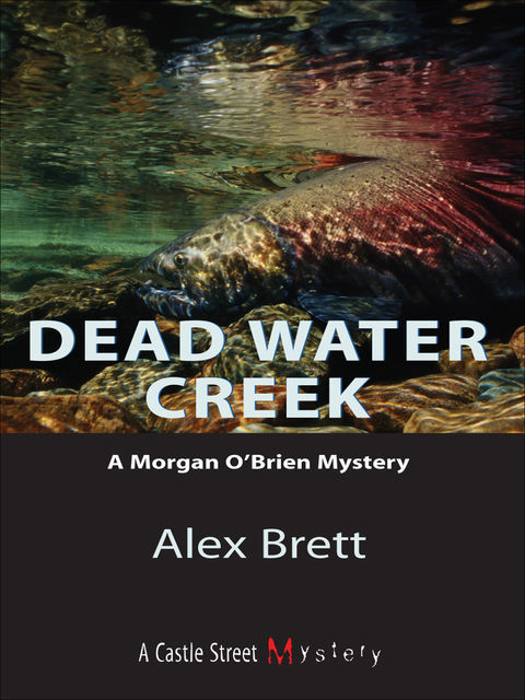 Morgan O'Brien Mysteries 2-Book Bundle, Alex Brett