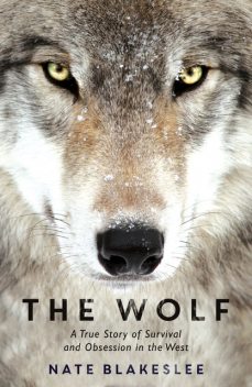 The Wolf, Nate Blakeslee