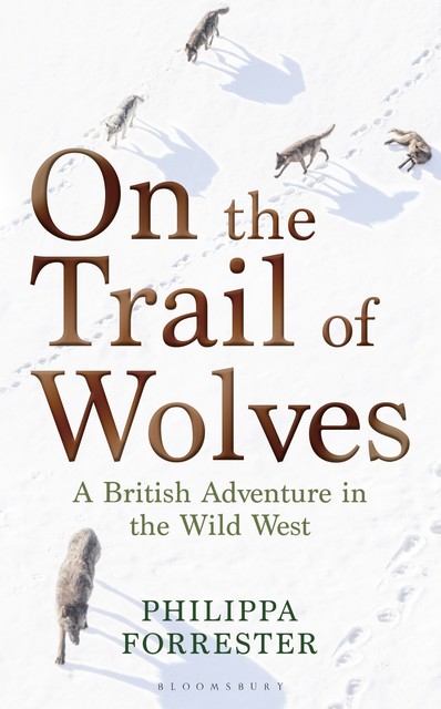 On the Trail of Wolves, Philippa Forrester