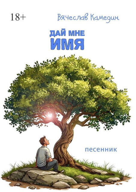 Дай мне имя, Вячеслав Камедин