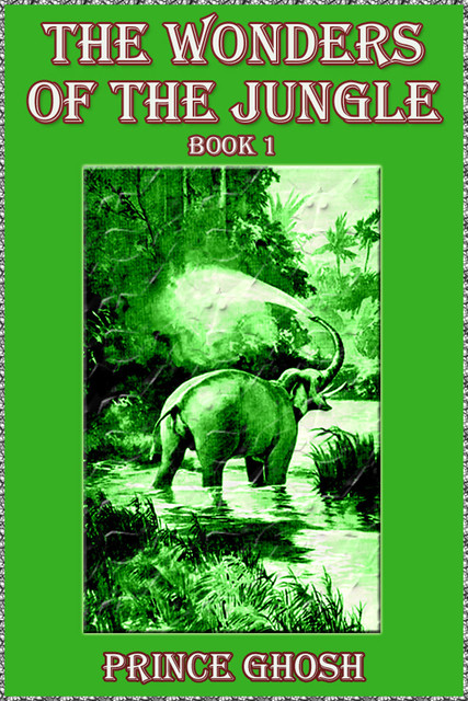The Wonders of the Jungle, Book 1, Prince Ghosh