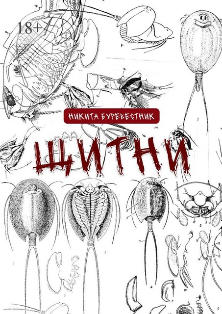 Щитни, Никита Буревестник