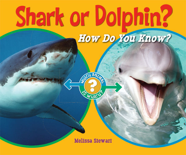 Shark or Dolphin?, Melissa Stewart