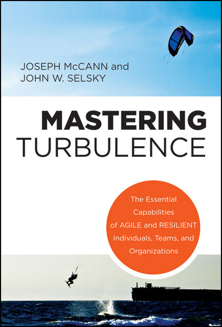 Mastering Turbulence, John W.Selsky, Joseph McCann