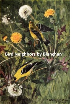 Bird Neighbors An Introductory Acquaintance with One Hundred and Fifty Birds Commonly Found in the Gardens, Meadows, and Woods About Our Homes, Neltje Blanchan