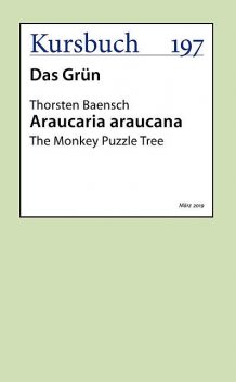 Araucaria araucana, aus: Kursbuch 197 – Das Grün, Thorsten Baensch