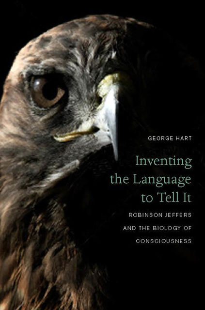 Inventing the Language to Tell It, George Hart