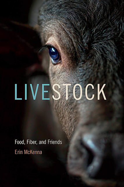 Livestock, Erin McKenna