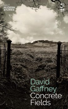 Concrete Fields, David Gaffney