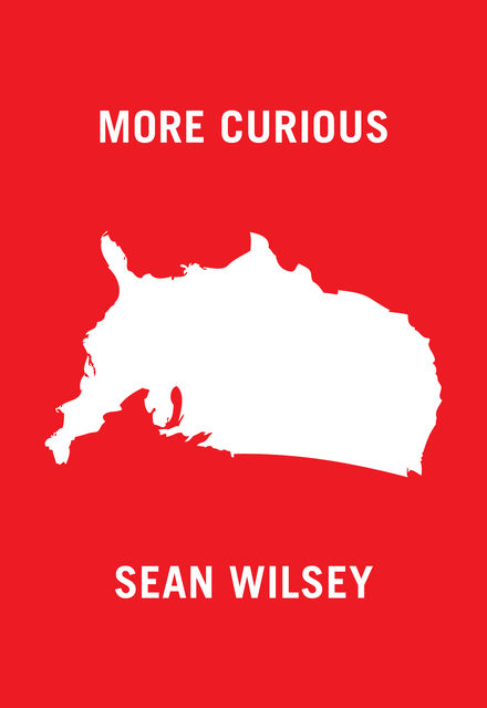 More Curious, Sean Wilsey