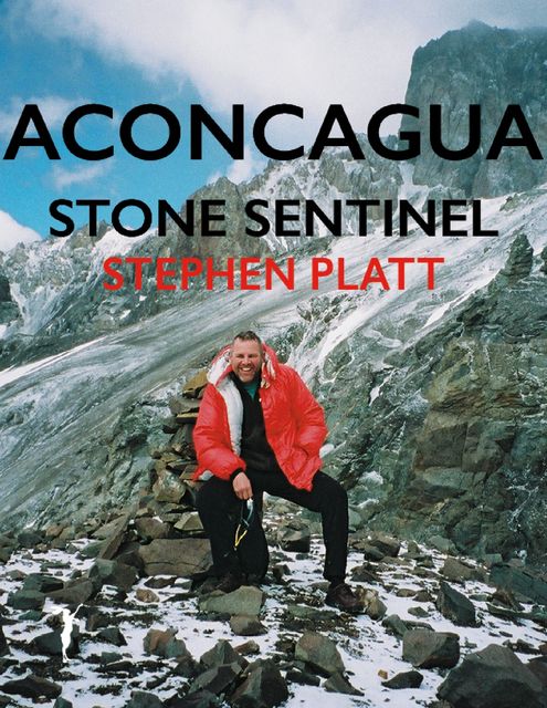 Aconcagua: Stone Sentinel, Stephen Platt