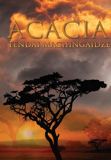 Acacia, Tendai Machingaidze