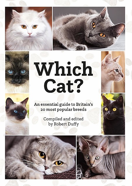 Which Cat, Robert Duffy