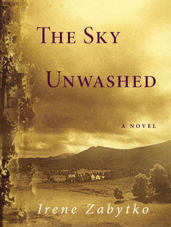 The Sky Unwashed, Irene Zabytko