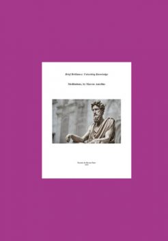 Brief Brilliance Unlocking Knowledge: Meditations, By Marcus Aurelius, Ricardo De Oliveira Pinto