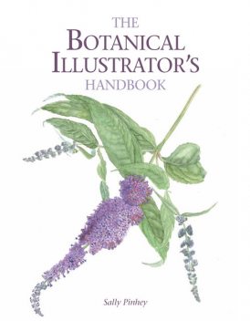 Botanical Illustrator's Handbook, Sally Pinhey