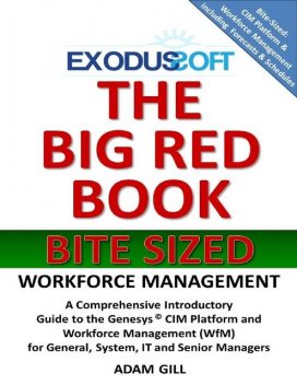The Big Red Book – Bite Sized – Workforce Management, Adam Gill