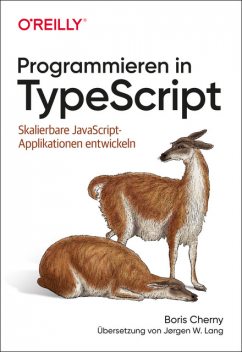 Programmieren in TypeScript, Boris Cherny