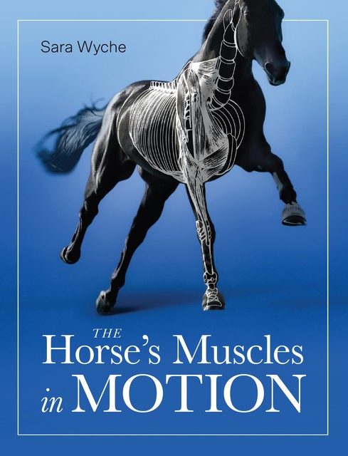 Horse's Muscles in Motion, Sara Wyche