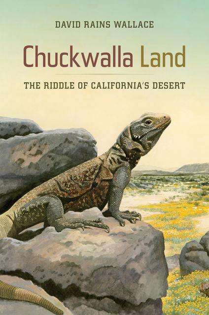 Chuckwalla Land, David Foster Wallace