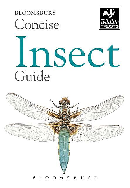 Concise Insect Guide, Bloomsbury Publishing