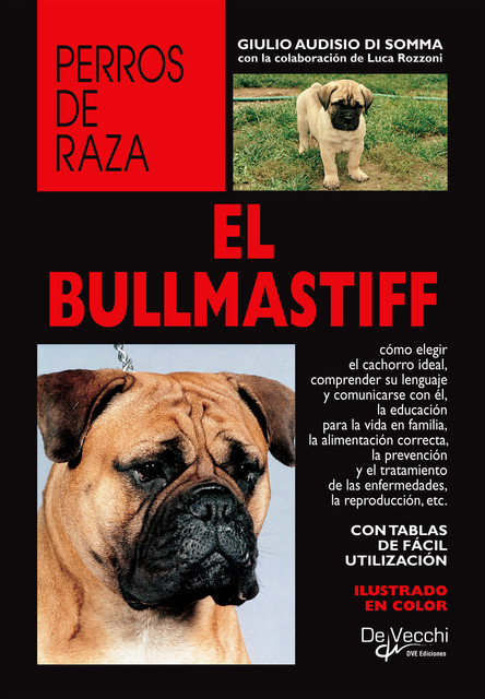 El Bullmastiff, Giulio Audisio Di Somma