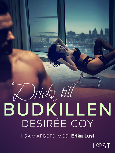 Dricks till budkillen – erotisk novell, Desirée Coy