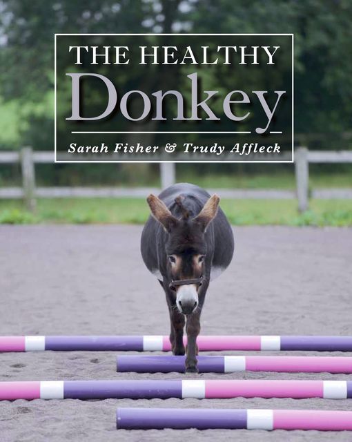 Healthy Donkey, Sarah Fisher, Trudy Affleck Trudy Affleck
