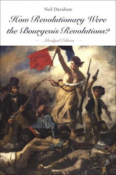 How Revolutionary Were the Bourgeois Revolutions? (Abridged Edition), Neil Davidson