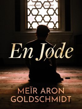 En Jøde, Meïr Aron Goldschmidt